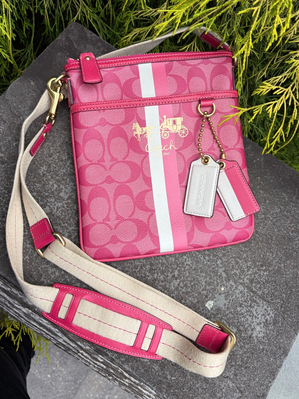 Coach Signature Stripe Swingpack Pink Crossbody Bag